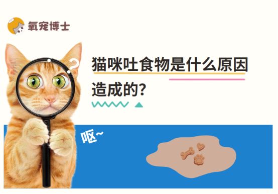 猫咪吐食物是什么原因造成的？