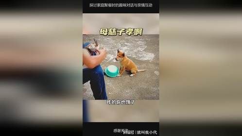 探讨家庭聚餐时的趣味对话与亲情互动