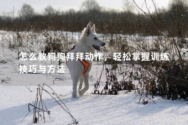 怎么教狗狗拜拜动作,轻松掌握训练技巧与方法