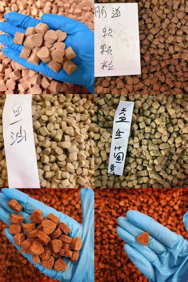 宠物卵磷脂代工/贴牌