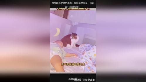 宝宝睡不安稳的真相：猫咪半夜舔头，妈妈却只顾录视频！