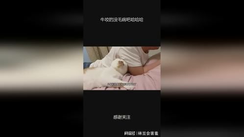 牛咬的没毛病吧哈哈哈