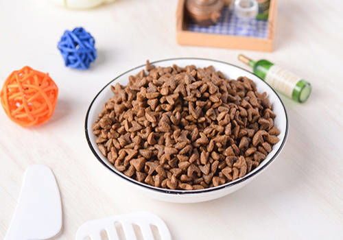 “健康狗粮粥，宠物美食秘籍”