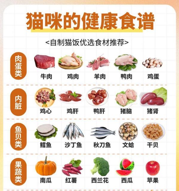 面粉火腿制作猫粮的美味食谱是什么？