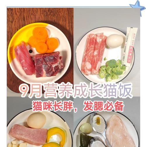 面粉火腿制作猫粮的美味食谱是什么？