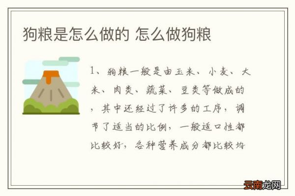 狗粮是怎么做的 怎么做狗粮
