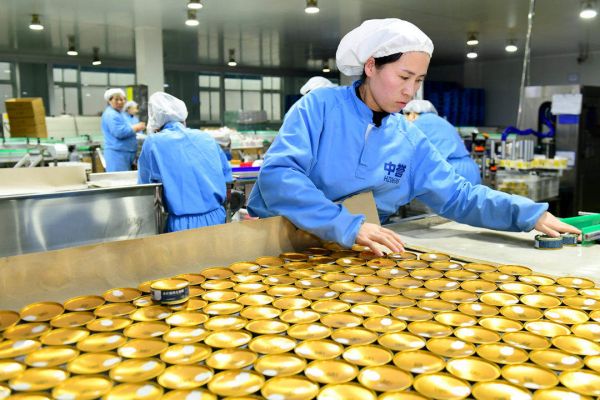 全国每十袋宠物粮，就有三袋产自山东