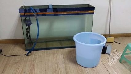 大鱼缸换水怎么控制温度的视频：大鱼缸换水控制温度的方法