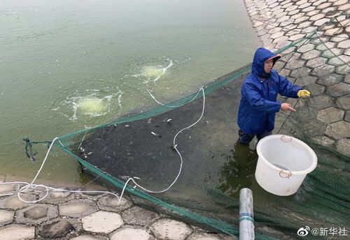 养鱼前，水要困多久才合适？