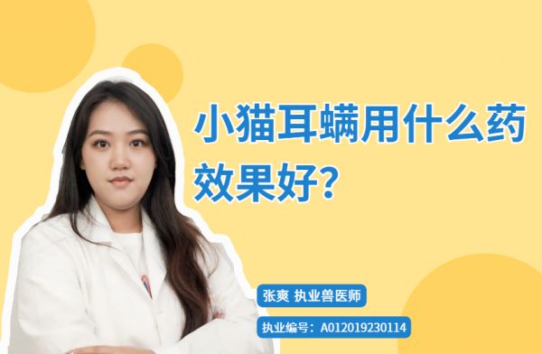 小猫耳螨用什么药效果好?