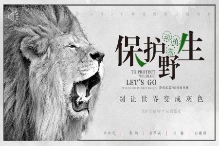 保护野生动植物宣传PPT动态模板