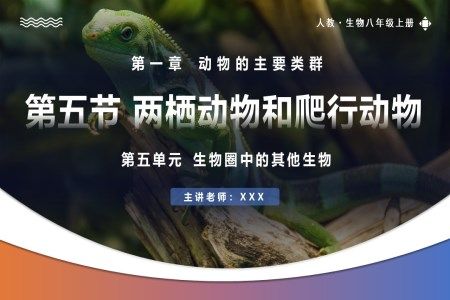 5.1.5两栖动物和爬行动物人教八年级生物上册PPT课件含教案