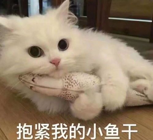 不建议，猫咪不宜吃旺仔小馒头。