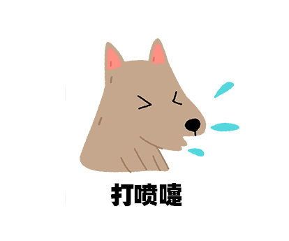 宠物小狗呼吸道不适，喷嚏鼻涕咳嗽，预防治疗有妙招