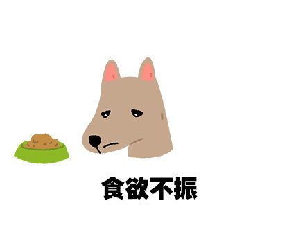 宠物小狗呼吸道不适，喷嚏鼻涕咳嗽，预防治疗有妙招