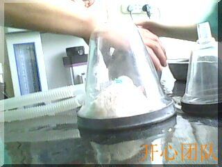 仓鼠眼底血管肿瘤