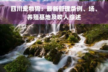 四川宠物狗：最新管理条例、场、养殖基地及咬人综述
