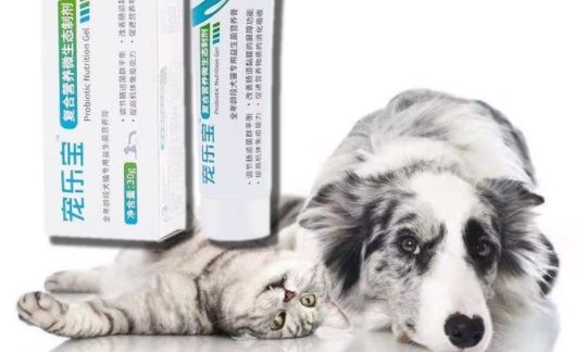 宠乐宝:调节宠物肠道菌群平衡,提高机体免疫能力