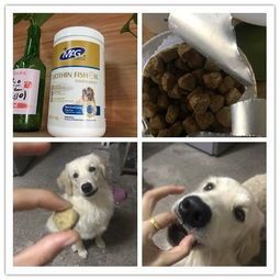 狗狗服用鱼油胶囊前，需注意这些小细节！