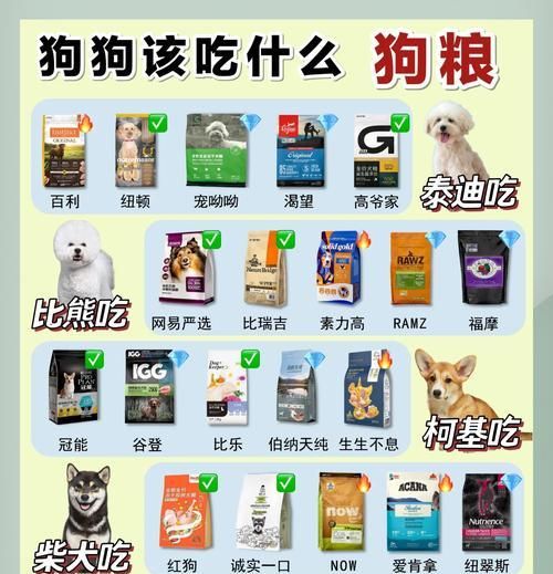 小狗是否可以吃猫粮？选择狗粮还是猫粮有什么建议？