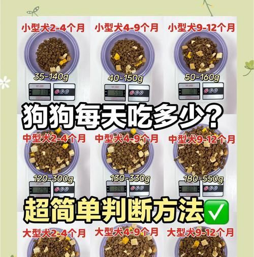 小狗是否可以吃猫粮？选择狗粮还是猫粮有什么建议？