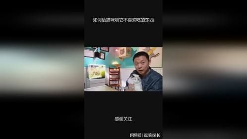 如何给猫咪喂它不喜欢吃的东西