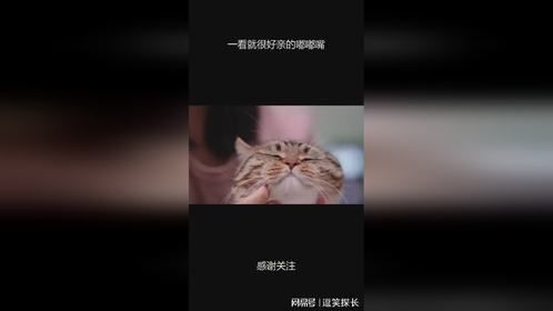 一看就很好亲的嘟嘟嘴