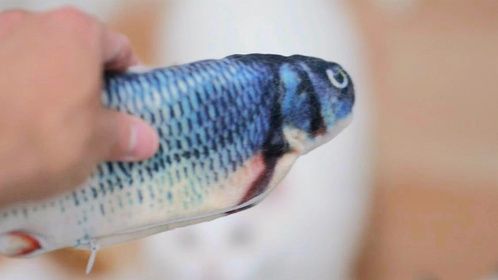 两年前买的仿真鱼不要扔，只需要加点猫薄荷，假鱼比真鱼还受欢迎