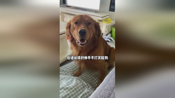 学会撒娇，少挨100顿打