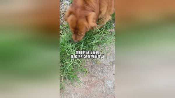 我这人也没啥能力，唯一的能力就是干啥啥不行