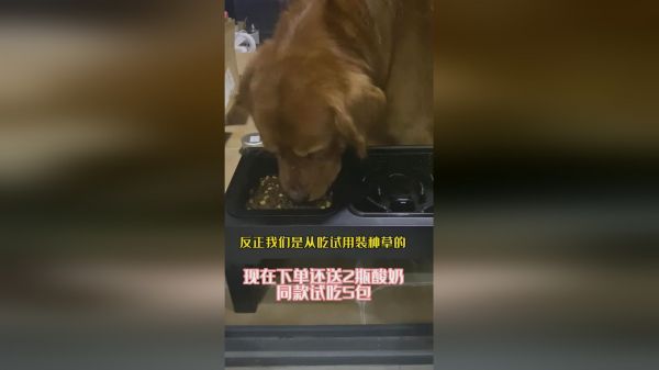 每天到了点自己就回来催我，看他这个憨憨样