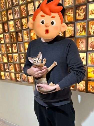 很不错的一家猫咖