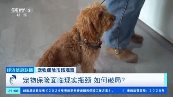 Thumbplayer Poster Plugin Image