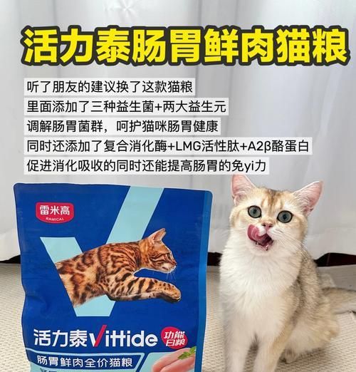 肠胃调理猫粮的正确食用方法是什么？
