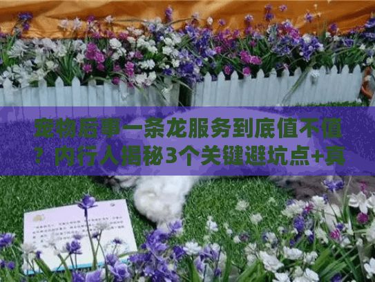 宠物后事一条龙服务到底值不值？内行人揭秘3个关键避坑点+真实案例