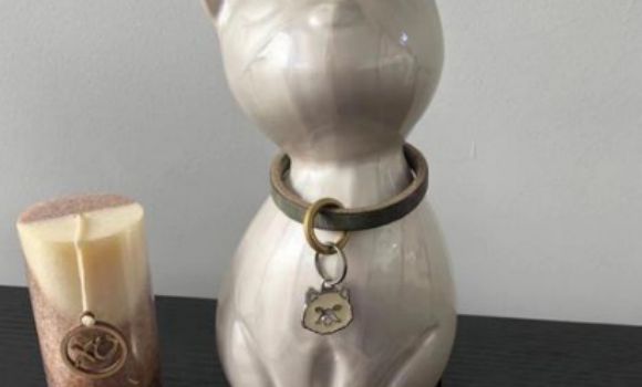 解读宠物殡葬：一个情感经济赛道的崛起与爆发