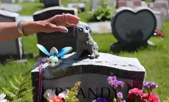 解读宠物殡葬：一个情感经济赛道的崛起与爆发