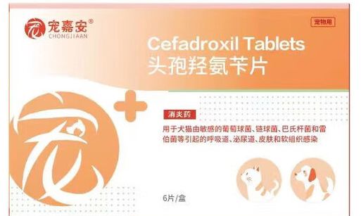宠物怎么驱虫?宠嘉安别错过,消炎驱虫双保障