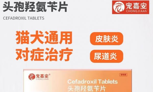 宠物怎么驱虫?宠嘉安别错过,消炎驱虫双保障