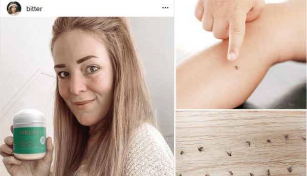 如何彻底消灭宠物身上的蜱虫（以阿拉斯加为例）