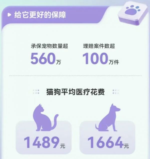 连续五年市场规模翻倍，宠物保险赛道还能再现增长奇迹吗？