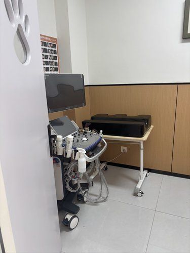 狗狗绝育的首选宠物医院