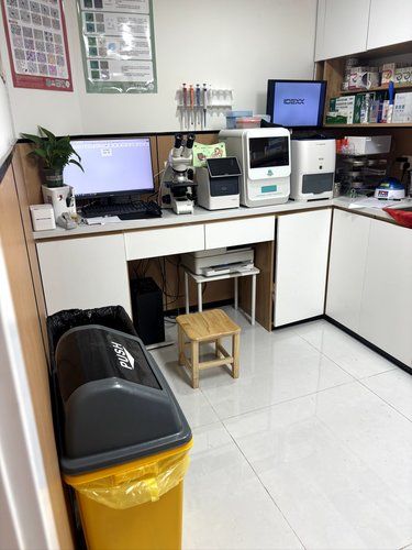 猫咪疫苗体验满分！