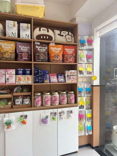 带猫看急诊被暖到[爱心]！