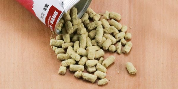 河北高蛋白猫零食供应商,猫零食