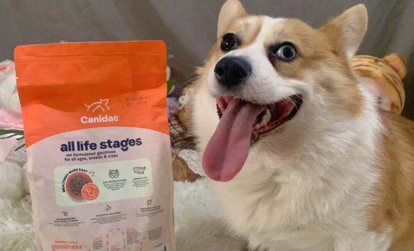 柯基适合吃什么品牌狗粮？卡比CANIDAE科学配方适配柯基需求