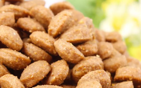 埃菲狗粮：满足狗狗的营养需求，让爱犬健康又快乐