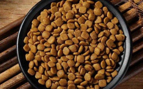 凯恩特狗粮：满足宠物全方位需求的优质食品