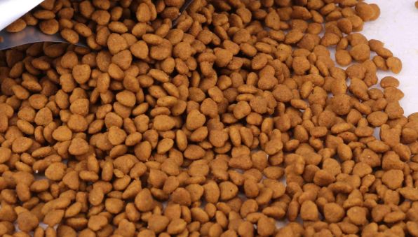 凯恩特狗粮：满足宠物全方位需求的优质食品