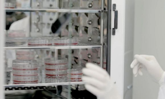 卫仕：产品对宠物的健康没有帮助，那就不会做 